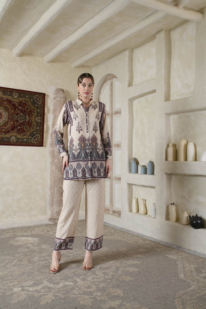 THE BARI Ethnic Motifs Printed Shirt Collar Kurta With Trousers